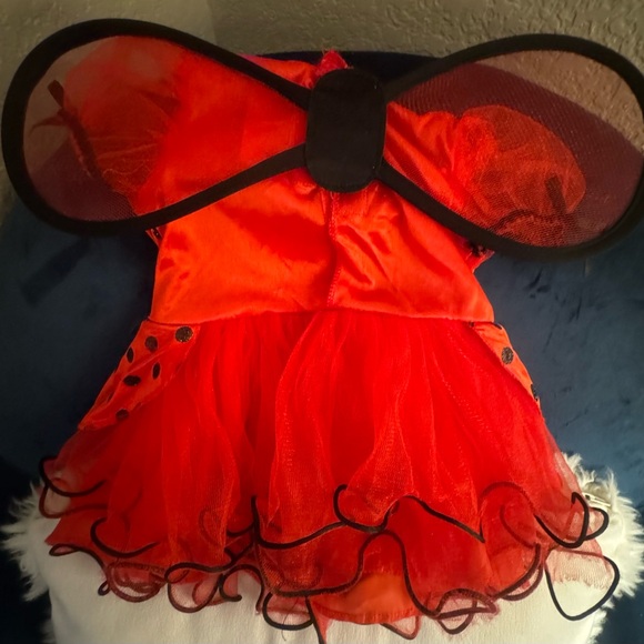 Baby girl Lady Bug Halloween costume/dress - Picture 2 of 3